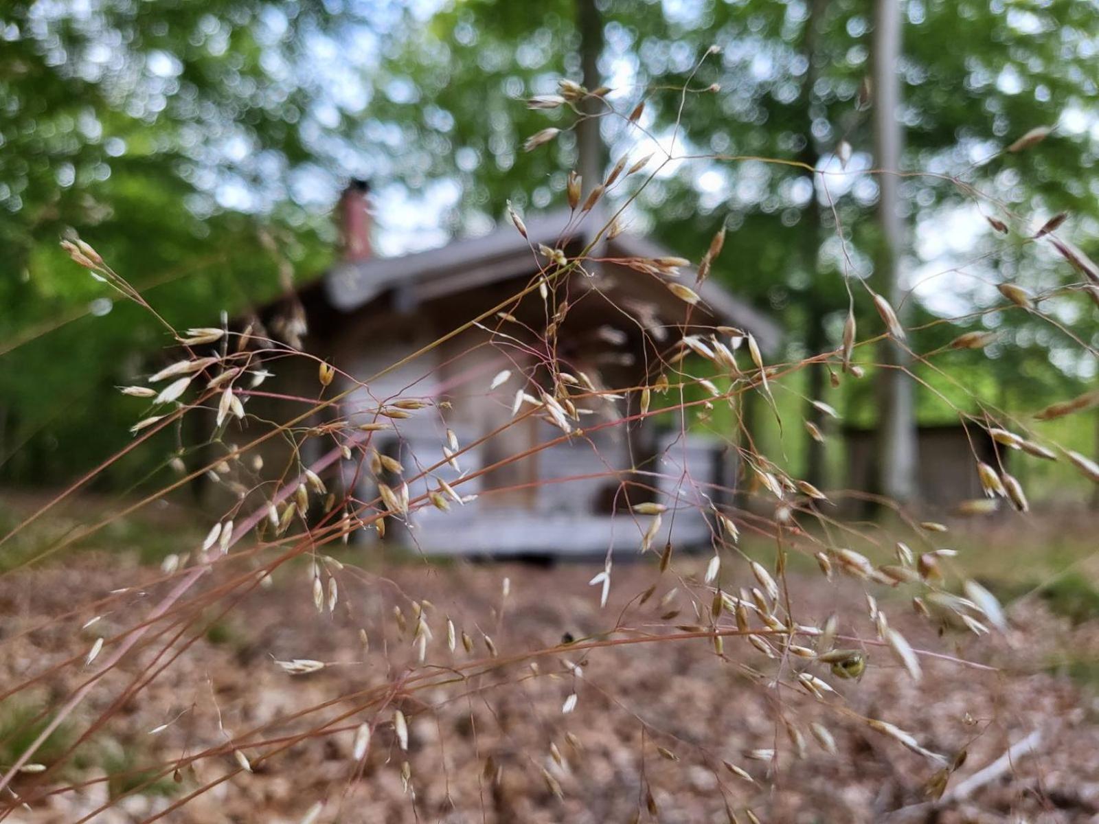 Bjaernhultsgardens Stugor Linderod Kültér fotó